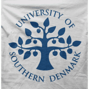 Camiseta universidad suecia-detalle