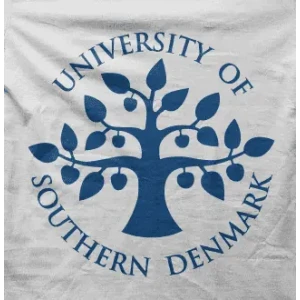 Camiseta universidad suecia-detalle