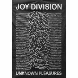 Camiseta unknown pleasures-detalle