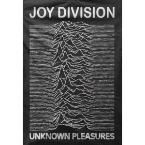 Camiseta unknown pleasures-detalle