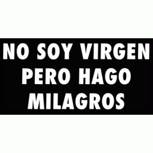 Camiseta virgen-detalle