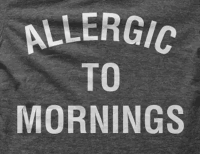 Camiseta Allergic-to-mornings-detalle