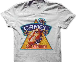 Camel piramide