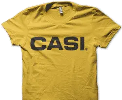 Casi
