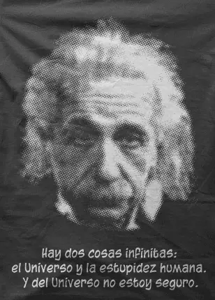 Camiseta Einstein-detalle