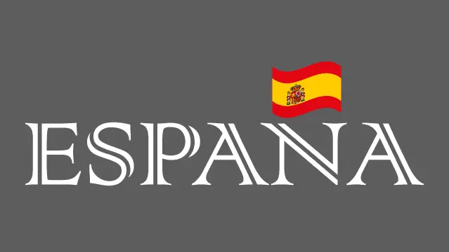 Camiseta España-detalle