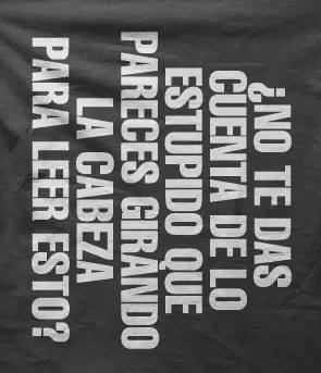 Camiseta Estupido-detalle