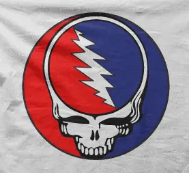 Camiseta Grateful Dead I-detalle
