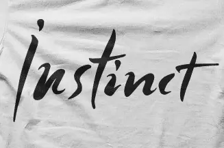 Camiseta Instinct-detalle