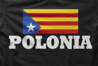 Camiseta Polonia-detalle
