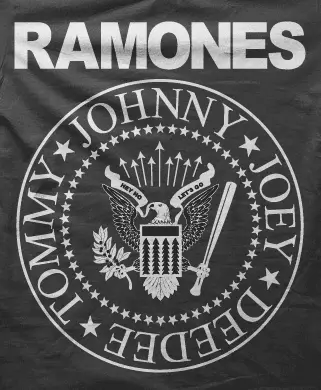 Camiseta Ramones-detalle