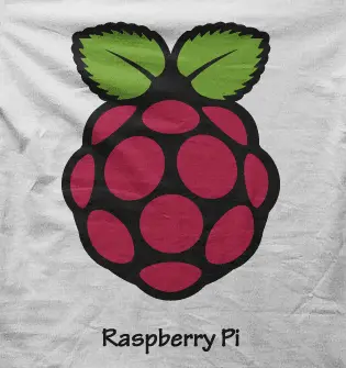 Camiseta Raspberry Pi-detalle