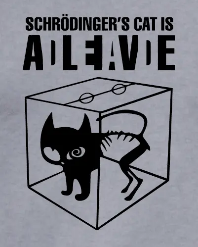 Camiseta Schrodingers cat-detalle