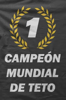 Camiseta Teto-detalle