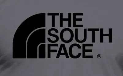 Camiseta The south face-detalle