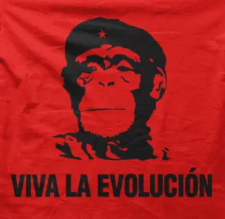 Camiseta Viva la evolución-detalle