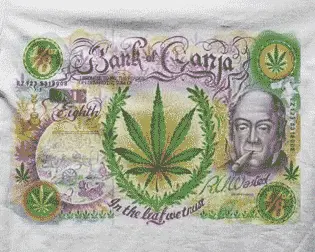 Camiseta bank of ganja-detalle