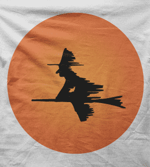 Camiseta bruja-detalle