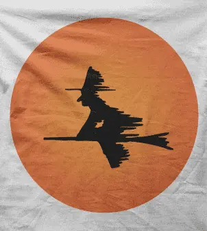 Camiseta bruja-detalle