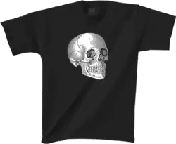 calavera II