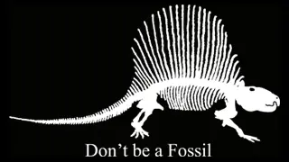 Camiseta dinosaurio-detalle