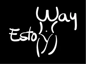 Camiseta estoy way-detalle