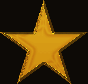 Camiseta estrella oro-detalle