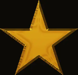 Camiseta estrella oro-detalle