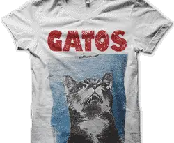gatos