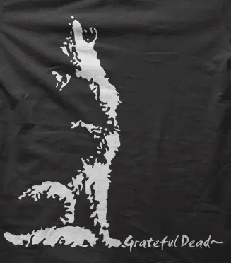 Camiseta grateful dead-detalle