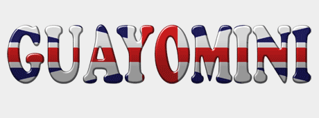 Camiseta guayomini-detalle