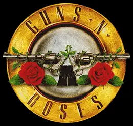 Camiseta guns n roses-detalle