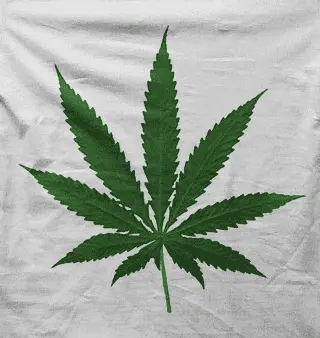 Camiseta hoja marihuana-detalle