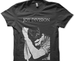 ian curtis