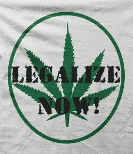 Camiseta legalize now-detalle