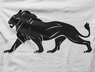 Camiseta leon-detalle