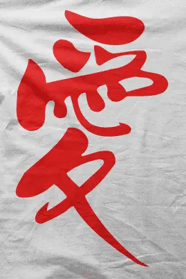 Camiseta letras chinas-detalle