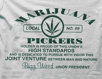 Camiseta marihuana pickers-detalle