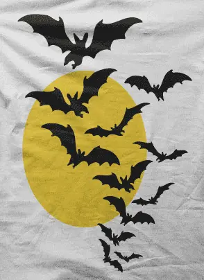 Camiseta murcielagos-detalle