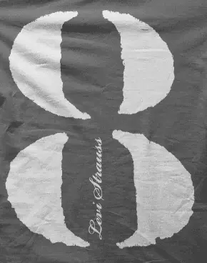 Camiseta ocho-detalle