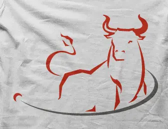 Camiseta toro-detalle