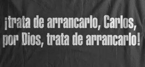 Camiseta trata de arrancarlo-detalle