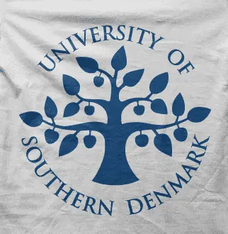 Camiseta universidad suecia-detalle