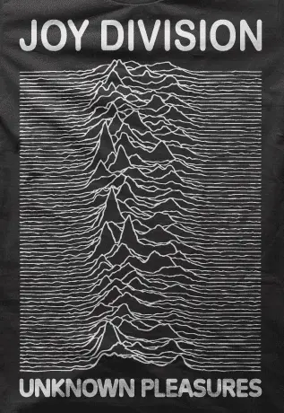 Camiseta unknown pleasures-detalle