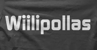 Camiseta wiilipollas-detalle