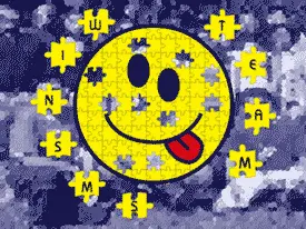 Camiseta winsms-detalle