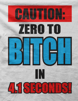 Camiseta zero to bitch-detalle